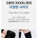 모모미 이미지