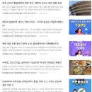 톡톡플러스지역아동센터 | 2025 인천통일플러스센터 서포터스 후기