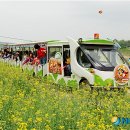 장성공설운동장 12 이미지
