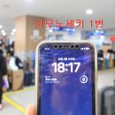 카멜리아 이미지