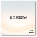 탈모 두피문신 가격 지역별 추천부터 시술 과정까지 완벽 정보