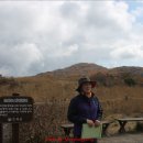 대암대우산 천연보호구역 이미지