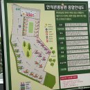 경기도 근교 신설 캠핑장 화성 안석관광농업 글램핑, 캠핑장, 바베큐