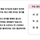 [소아 응급처치] 고열 이미지