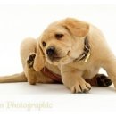 다독다독동물병원 이미지