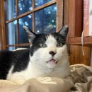 뜨개질 | 여러 모임과 연초 경험 후기😵‍💫(feat. 뜨개질, 분좋카)