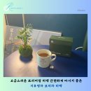 고급스러운 프리미엄 티백 간편하게 마시기 좋은 지유명차 보이차 티백 추천