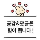 꼬끼옭 이미지