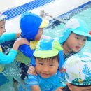 리틀아쿠아파크 이미지