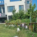 콩이네하우스 이미지