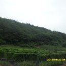 김진득 농장 이미지