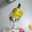 오뚜기PC 이미지