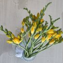 한스행정사사무소 이미지