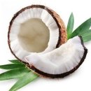 열대과일 코코넛 효능/코코넛의 효능○ 이미지