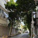 구제옷나라 | 나하가볼만한곳 헤이와거리 : 빈티지소품 구제의류