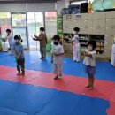 영킴스태권도 이미지