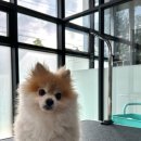 루이앤코코 이미지