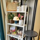 방배천로 160 (1) 이미지