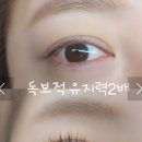 타임건축사사무소 | 온니뷰티 | 부천 신중동 속눈썹 연장 추천, JC컬 9–10mm 자연 연장 후기, 민생회복 소비쿠폰 사용처