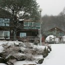 숲속의 이글루 이미지