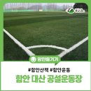 공설운동장 게이트볼장 | 함안 대산공설운동장 산책부터 운동까지 꼭 가봐야 할 이유