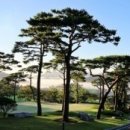 골프친구들 이미지