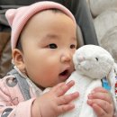 공룡통닭 하남유원정 | 스타필드하남｜오픈런 젤리캣 팝업스토어 8개월 딸과 함께 방문 후기(수유실 이용 및 유모차 대여)