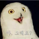 파이어 이미지