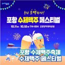 화산동 동네체육시설 게이트볼장 | 포항 수제맥주페스티벌 포항맥주축제 일정 및 주요행사