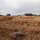 제주가원 이미지