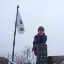 예산-12 이미지