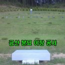 금산장의사
