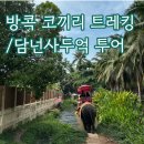 한송투어 | [태국여행] 방콕 투어 후기/코끼리 트레킹, 담넌사두억 수산시장, 위험한 기찻길 투어 1편