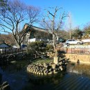 서울 . 봉원사 奉元寺 [한국불교태고종 총본산韓國佛敎太古宗 總本山] 이미지