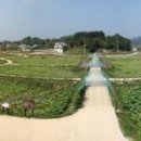 백련캠핑장 이미지