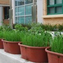 서울은빛초등학교 이미지