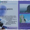 통영 앞 바다 5. 비진도