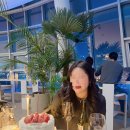크림라벨 티스토리