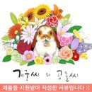포엘디자인 이미지