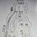 동의보감요약정리ㅡ438편 이미지