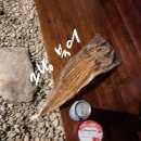 참새방아깐 이미지