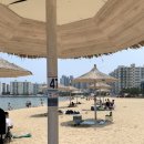 아임파인피자 이미지