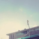 별천지칼국수 Daum카페
