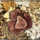 경희형제한의원 이미지