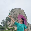 김정자 이미지