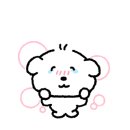 토박이양곱창 이미지