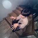 오토튠 | 2026 소란 SORAN 고영배 퍼펙트데이12 PERFECTDAY12 첫공 1회차 후기 - 블로그 써 말 잘했다 (스포주의)