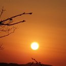 금장상회 이미지