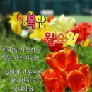 11월15일 고발뉴스 이미지