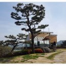 Lee's 이미지